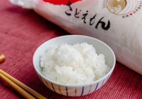 【さどえもん】 佐渡産 きらめきコシヒカリ【令和7年産】 5kg × 2袋 セット