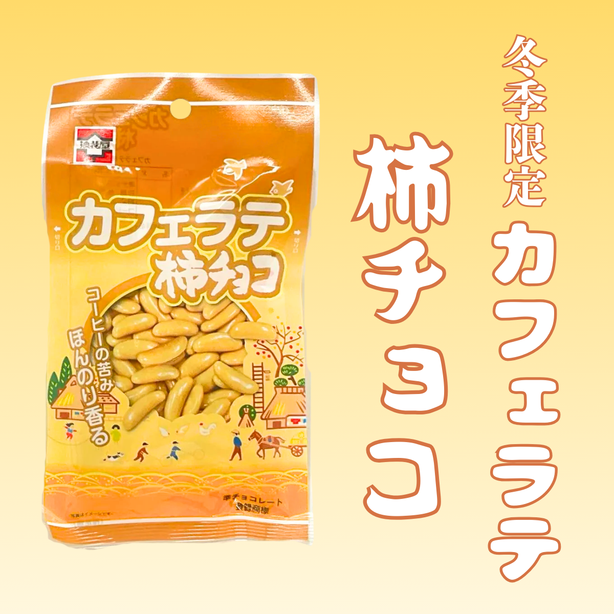 【冬期限定】意外な組み合わせがクセになる!浪花屋製菓 柿チョコ カフェラテ 40g