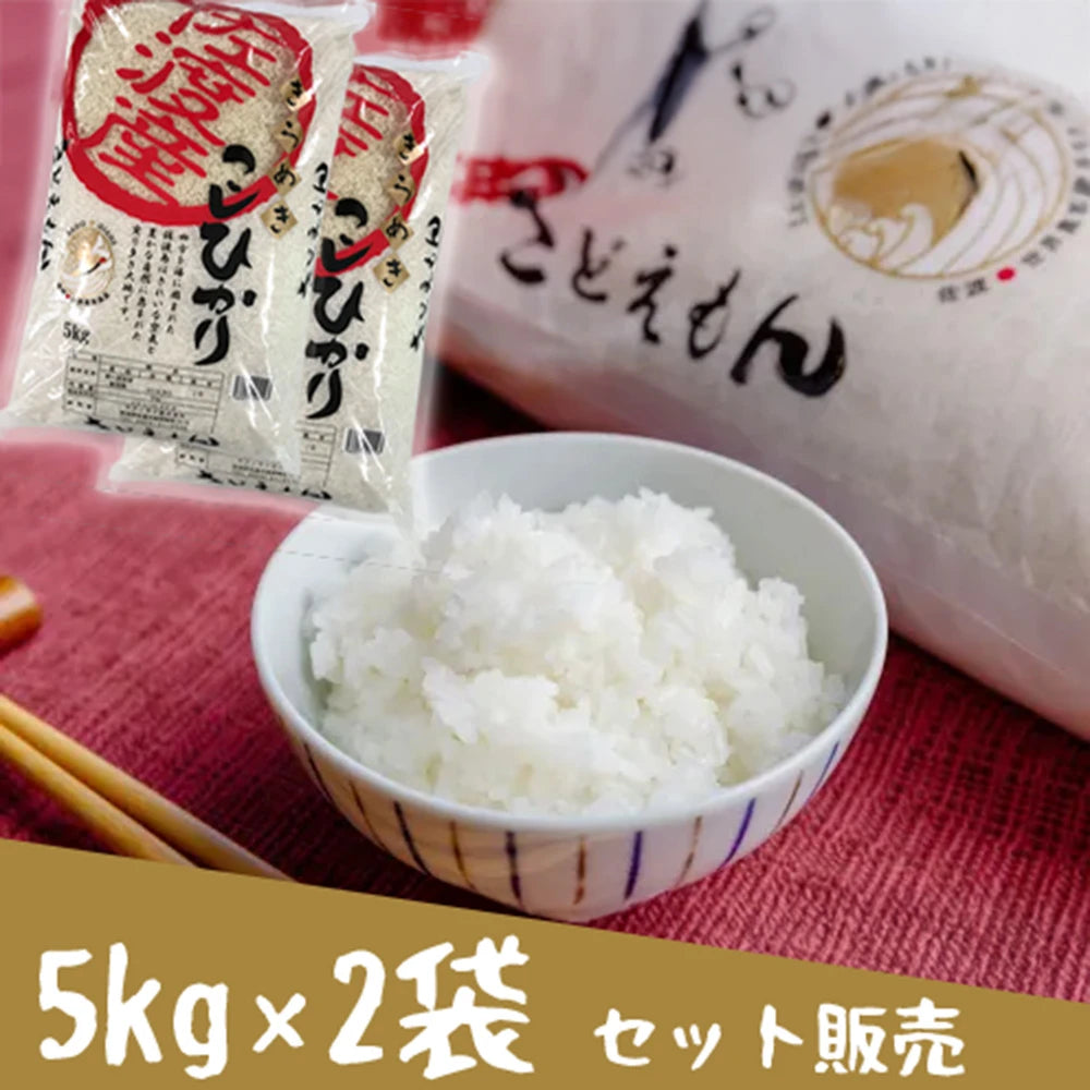 【さどえもん】 佐渡産 きらめきコシヒカリ【令和7年産】 5kg × 2袋 セット
