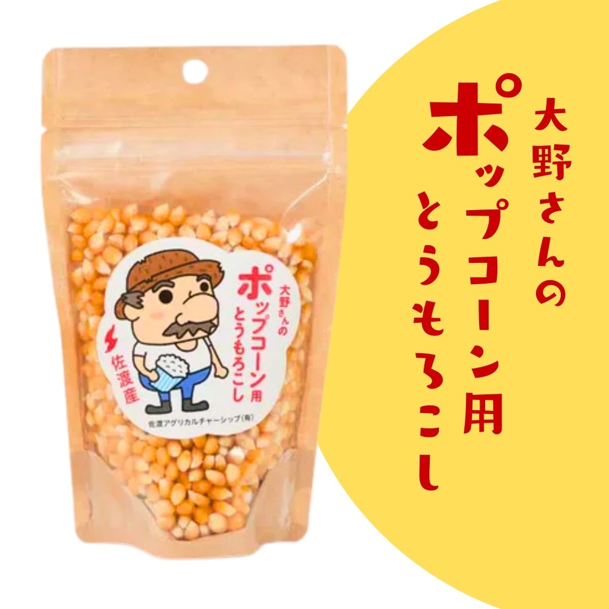 大野さんのポップコーン用とうもろこし
