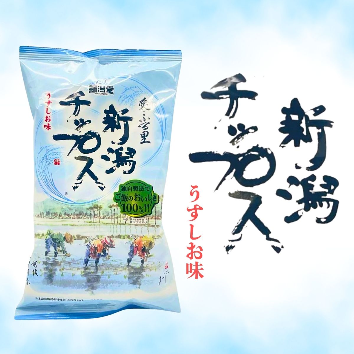 ごはん生まれの新食感チップス！新潟チップス　うすしお味　100ｇ