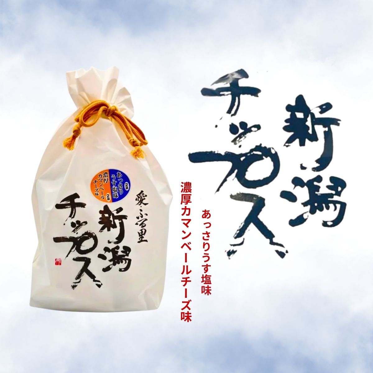ごはん生まれの新食感チップス！新潟チップス　詰め合わせ