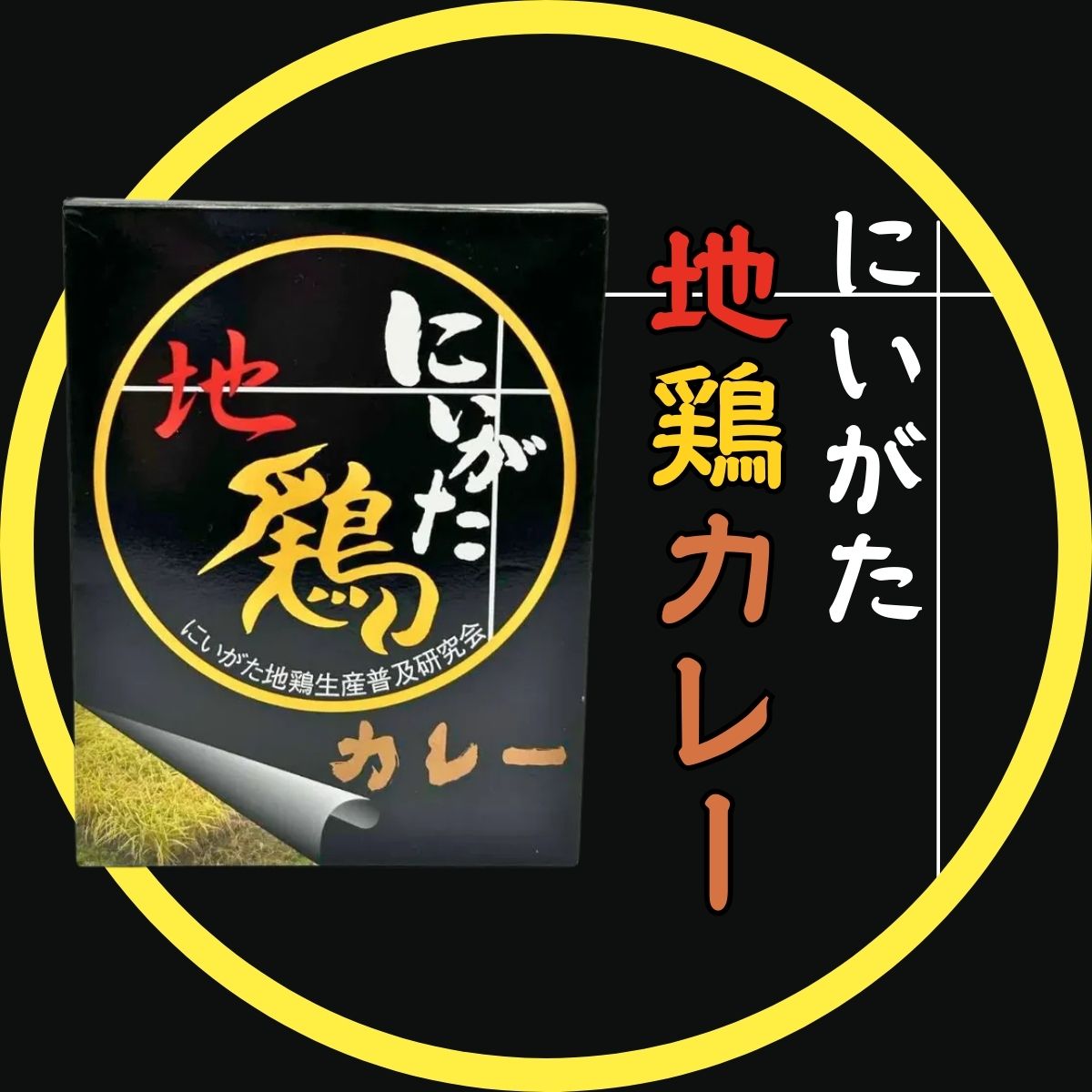 にいがた　地鶏カレー　200ｇ