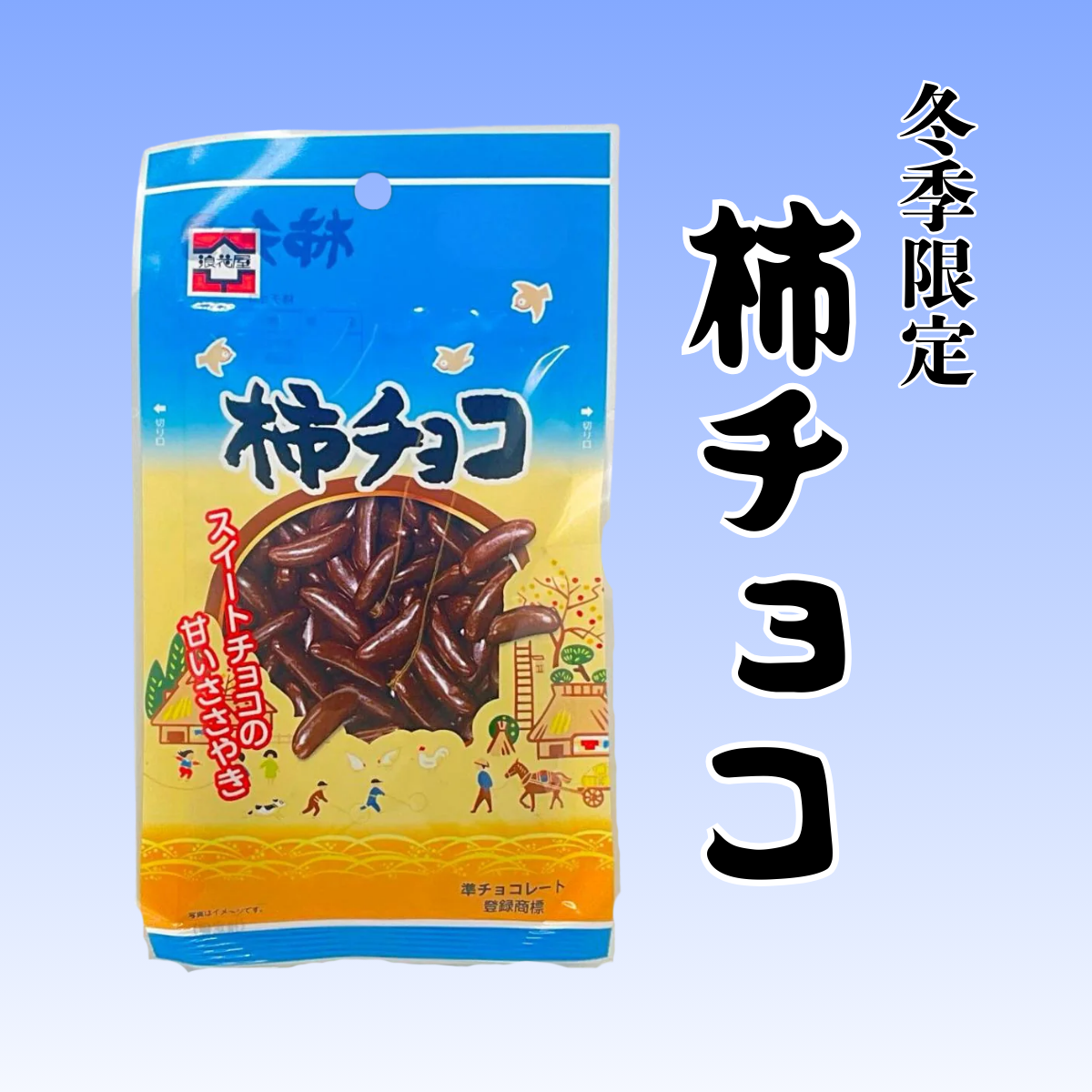 冬期限定】浪花屋製菓の定番商品☆柿チョコ 40g