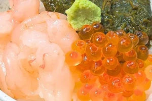 ご宝瓶 南蛮海老